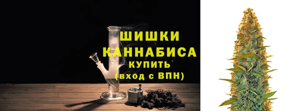 шишки Осташков