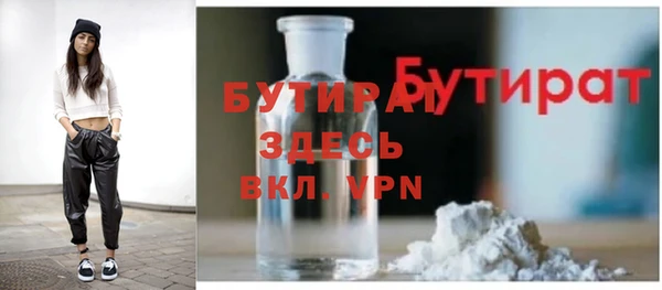 индика Осинники